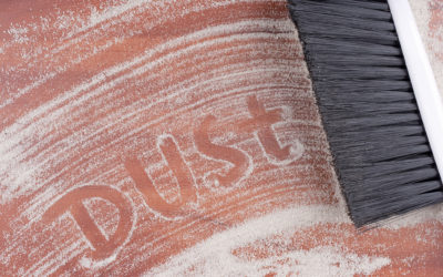 Strategies to Minimize Dust in the Home
