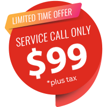 Service Call For 99 Service Call For 99
