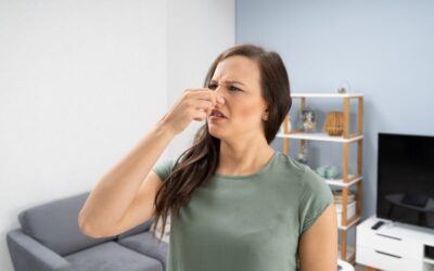 3 AC Odors in West End, NC That Mean You Have Trouble
